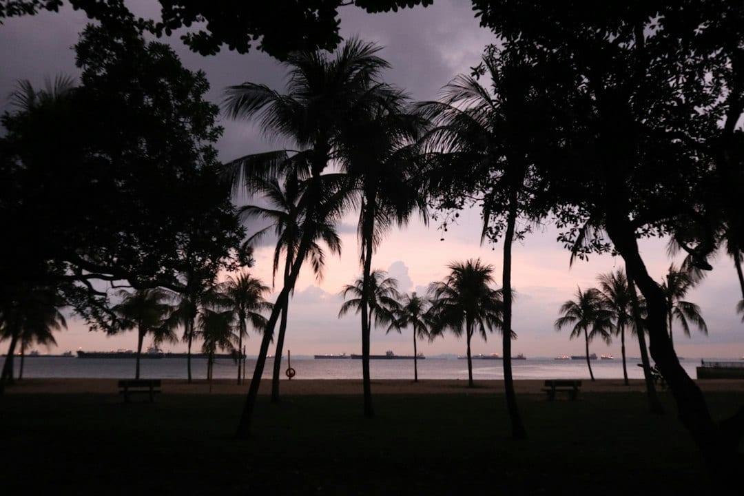 East Coast Park aerial view