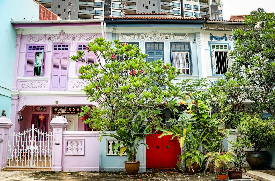 Colourful traditional terrace houses along a quiet District 15 residential street